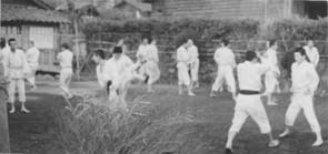 Backyard training